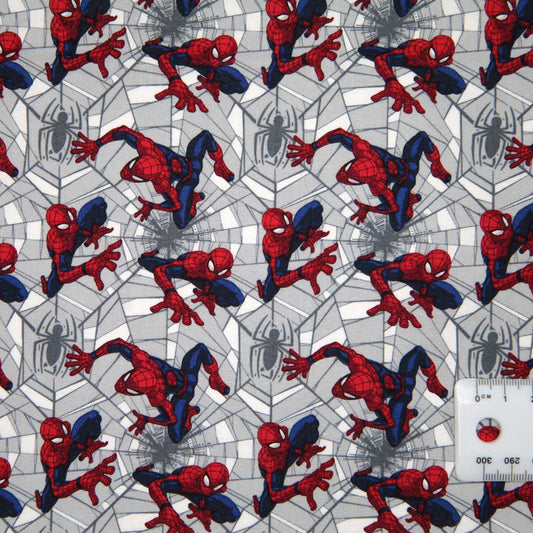 Spiderman - Spider Web