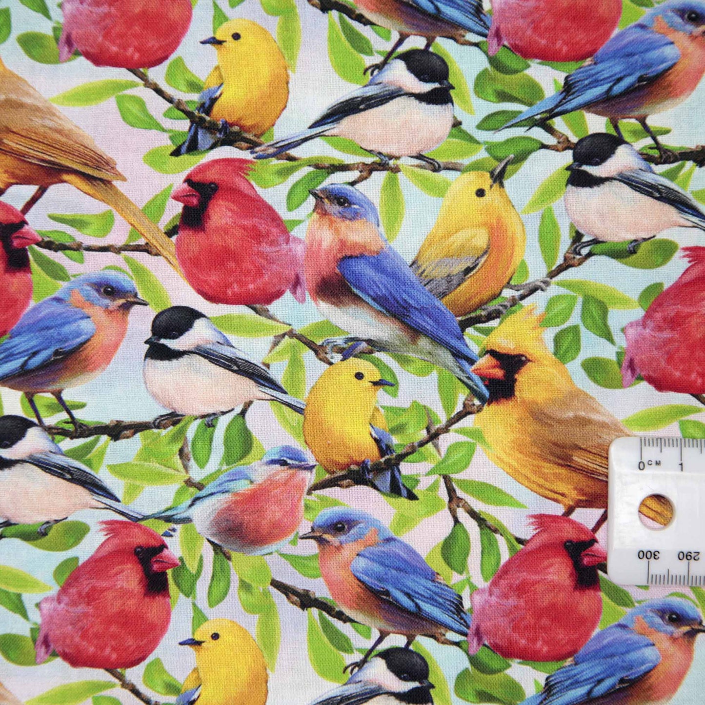 Hydrangea Garden - Birds