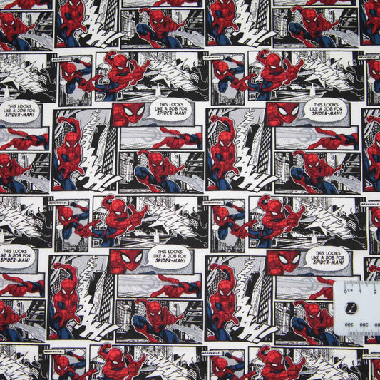 Spiderman - Comic Scenes