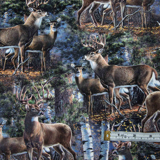 Naturescapes - First light