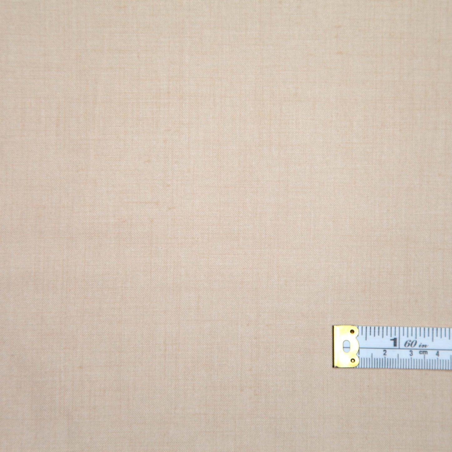 French General Solids - Oyster