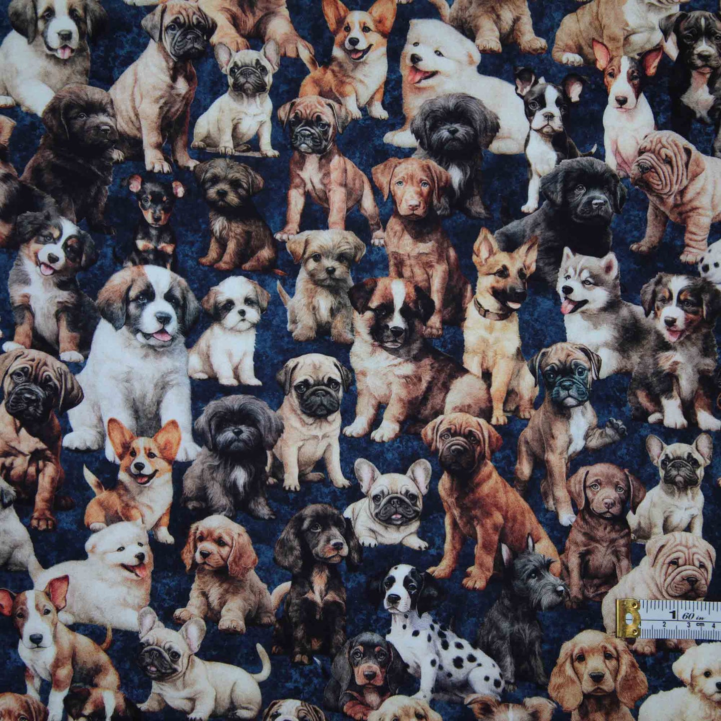 Pack of Puppies