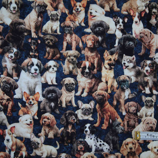 Pack of Puppies