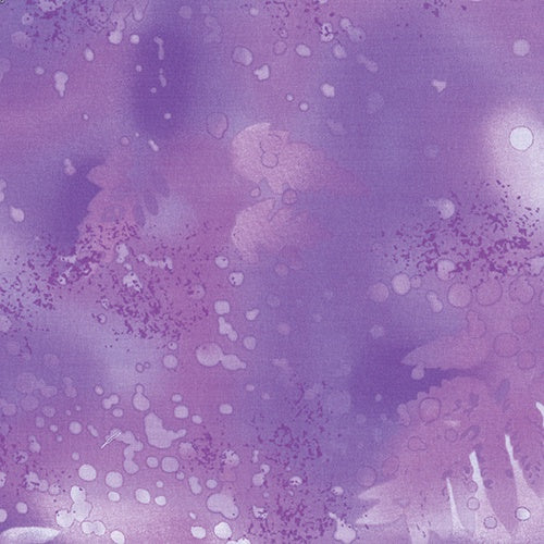 Fossil Fern - African Violet
