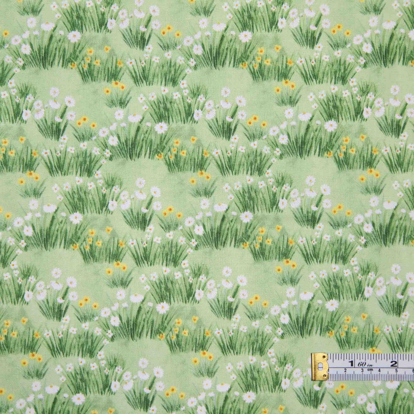 Counting Sheep