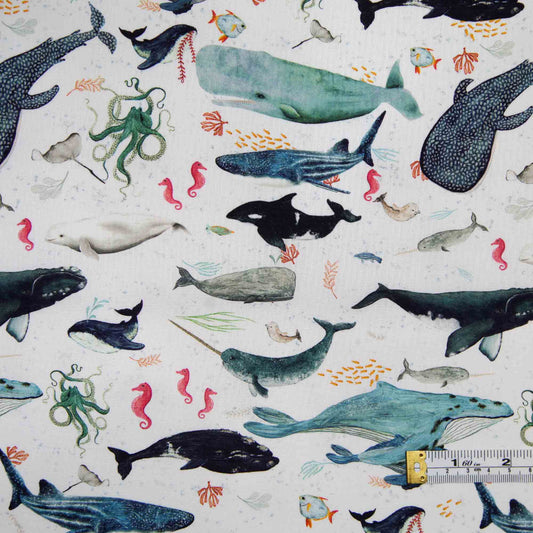 Deep Blue - Whales