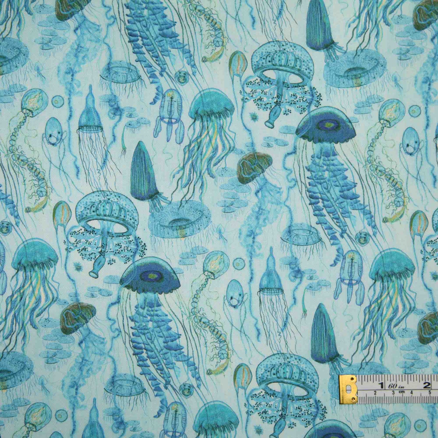 Deep Blue - Jellyfish