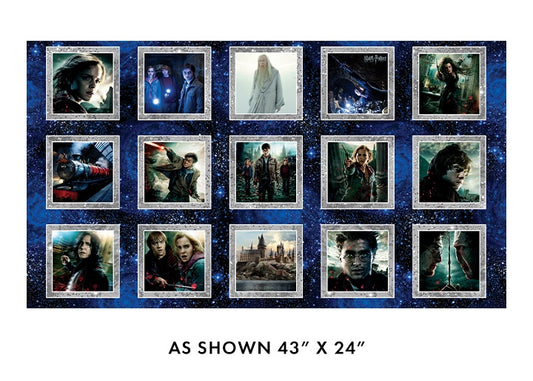 Harry Potter - Wizarding Boxes Panel