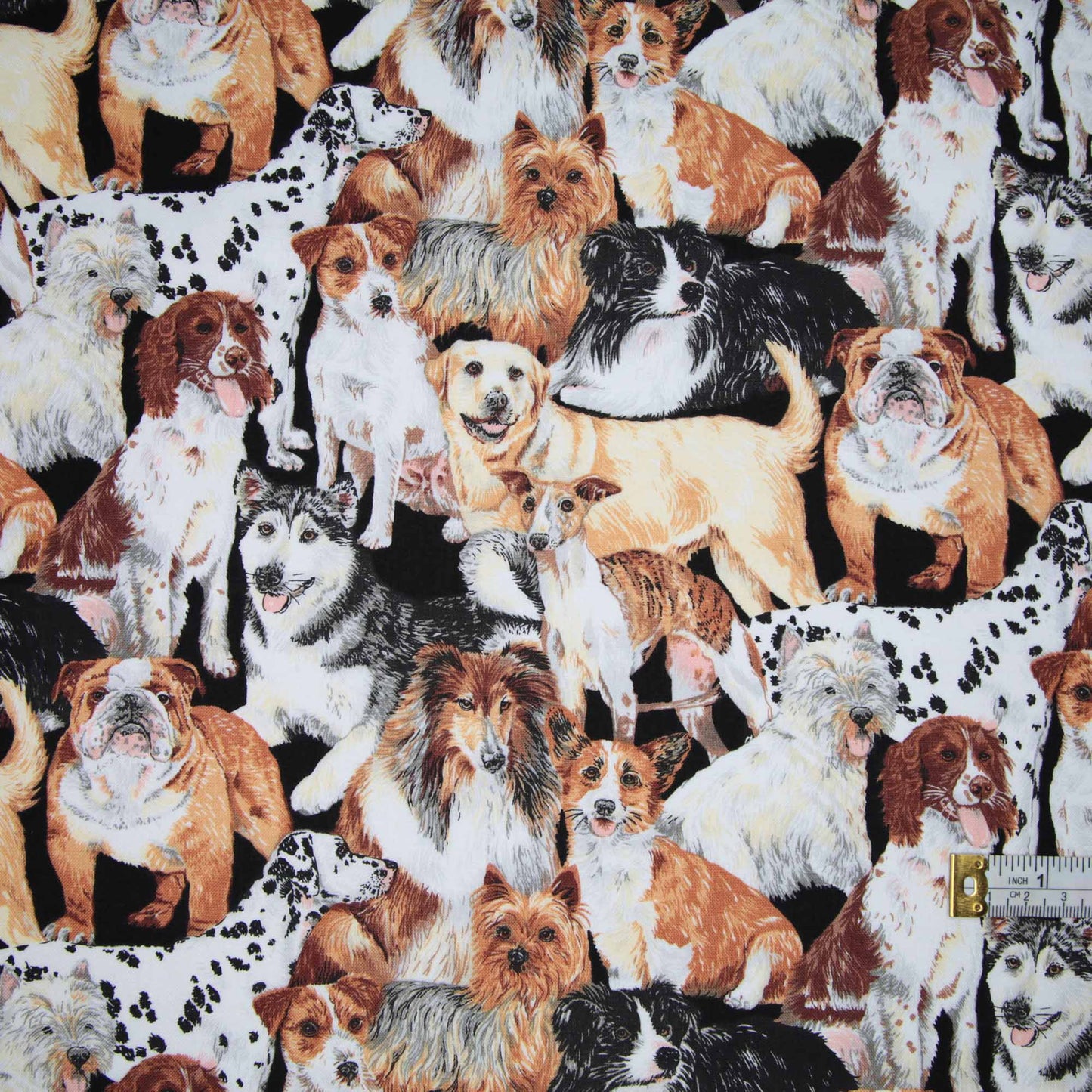 Doggie Delight