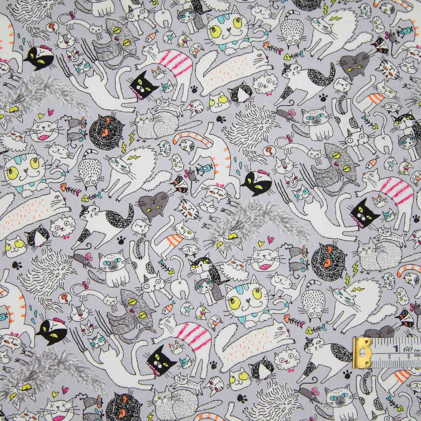 Lively Cats - Akaike