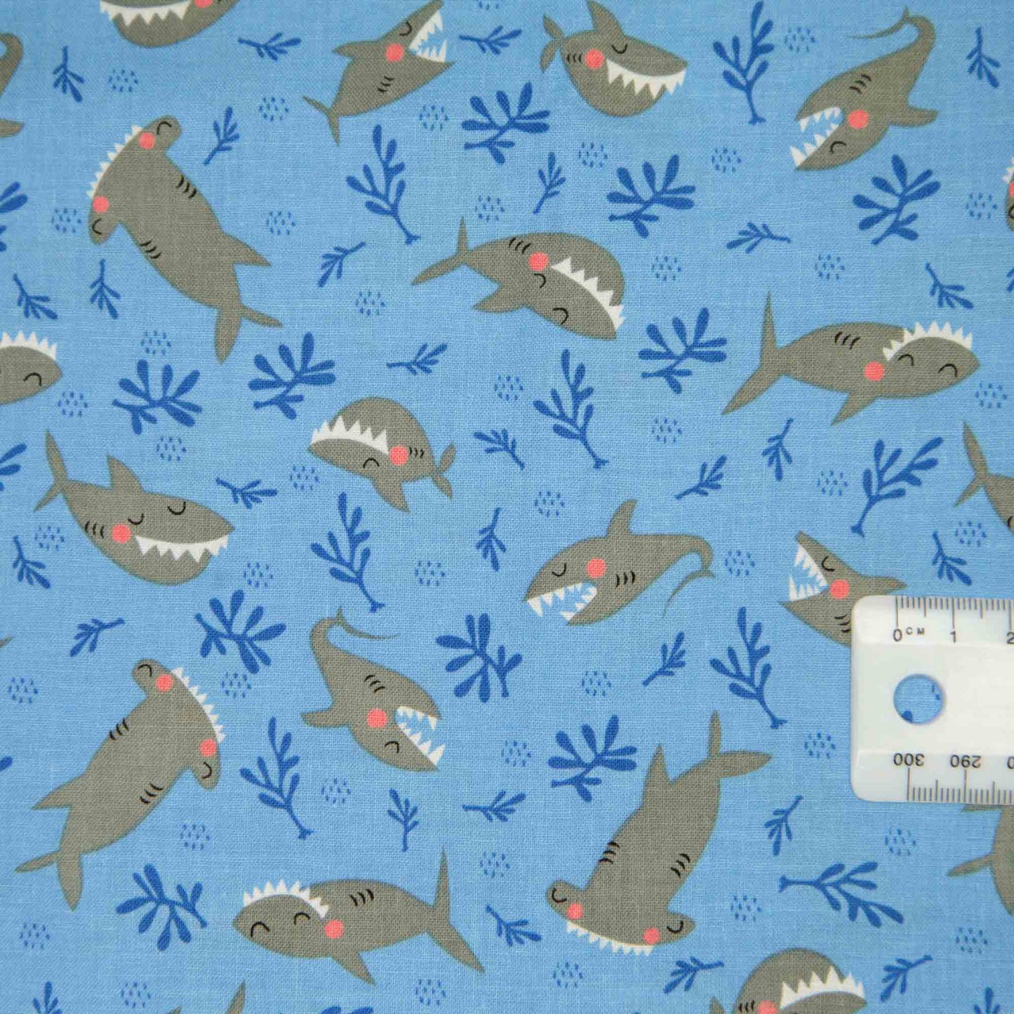 Commotion in the Ocean - Sharks