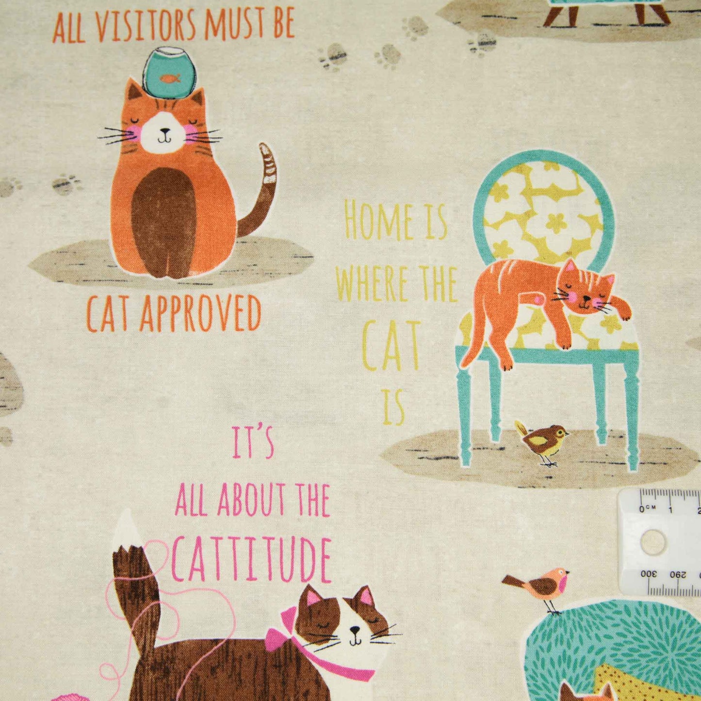 Purrfect Partners