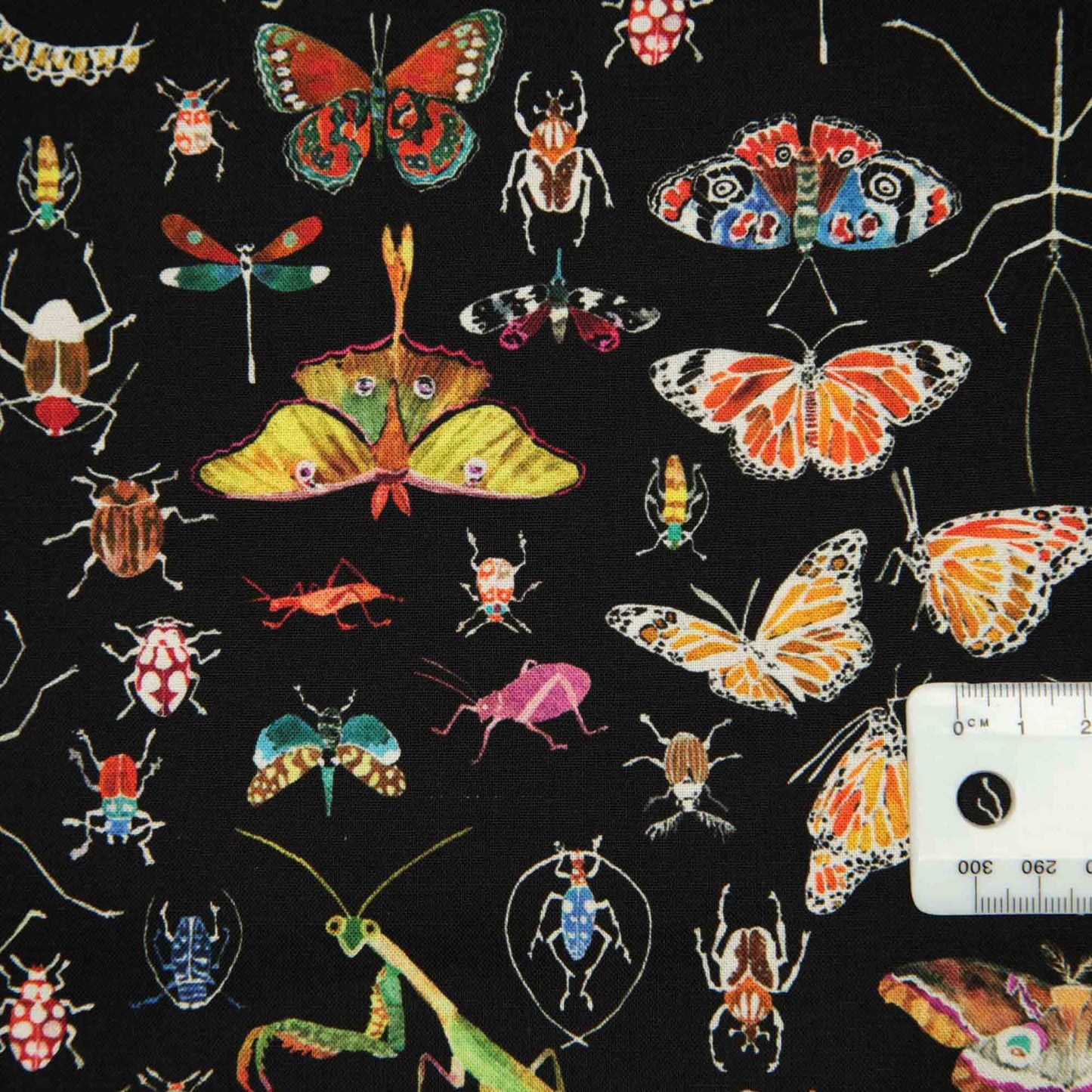 Deep Forest - Insects