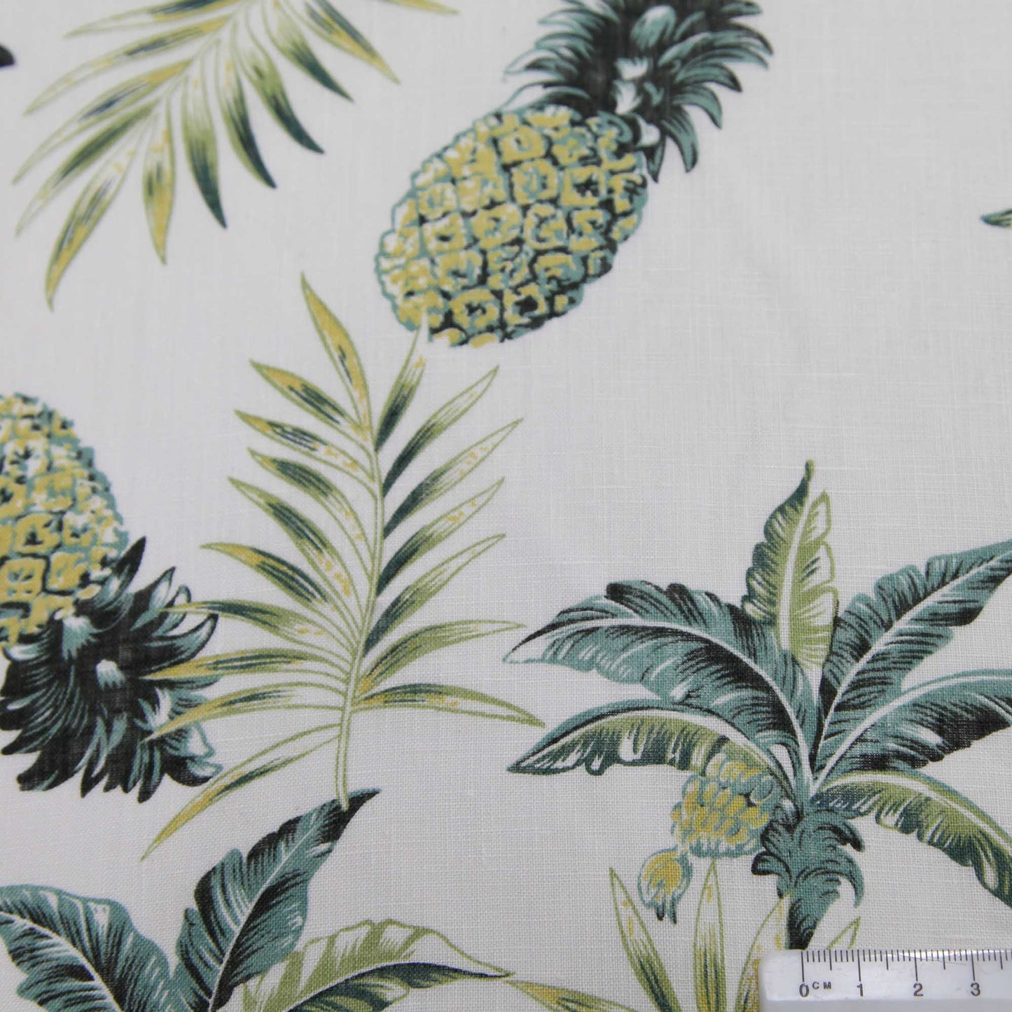 Pineapple Print