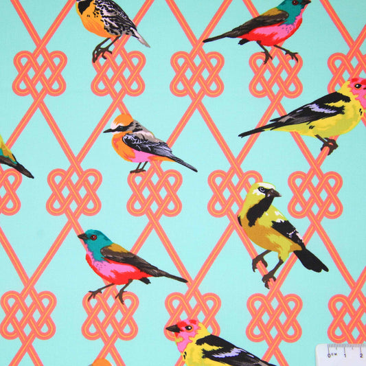 Moon Garden - In a Finch - Dawn