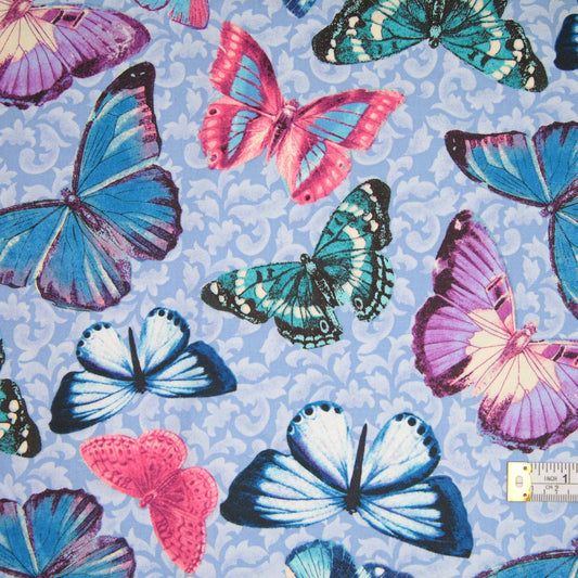 Victoria - Large Butterfly - Periwinkle