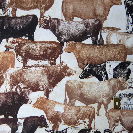 Vintage Farm Life - Bulls