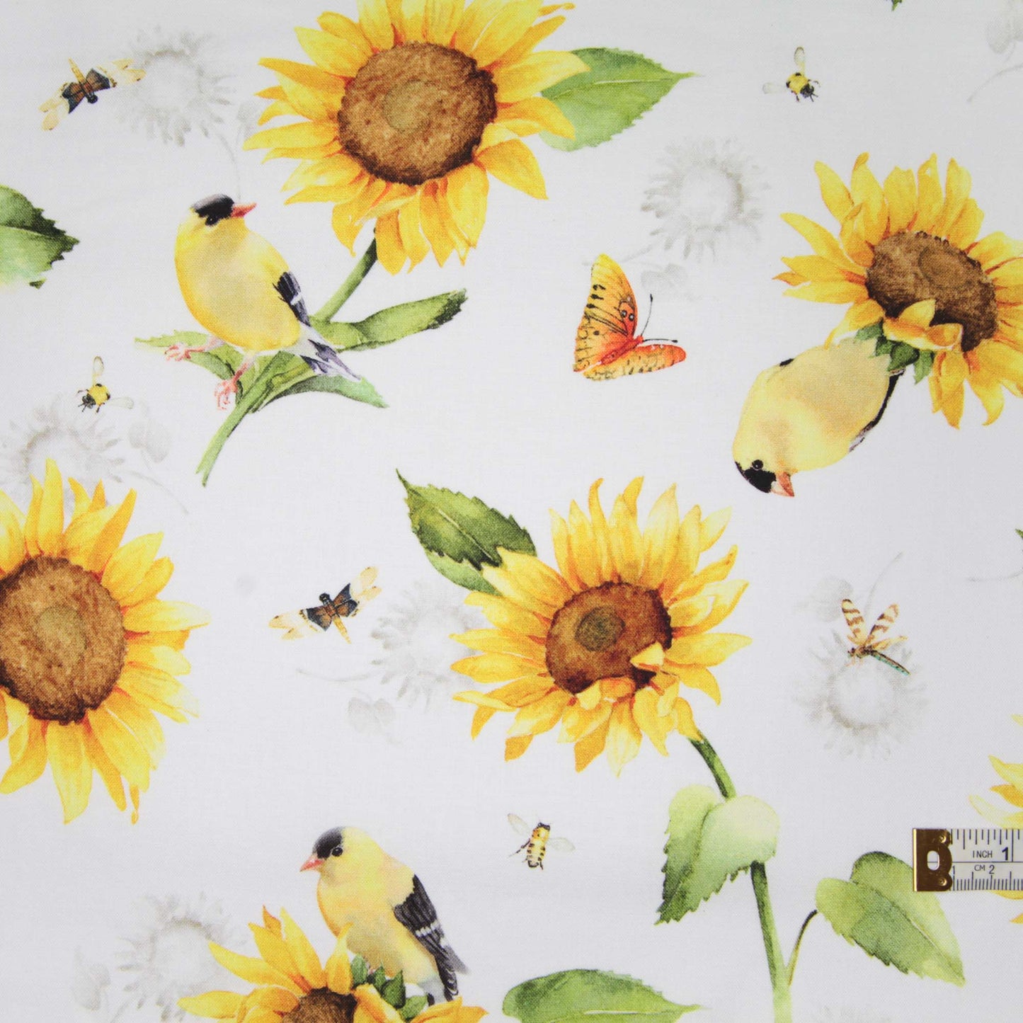 Sunflower Fields