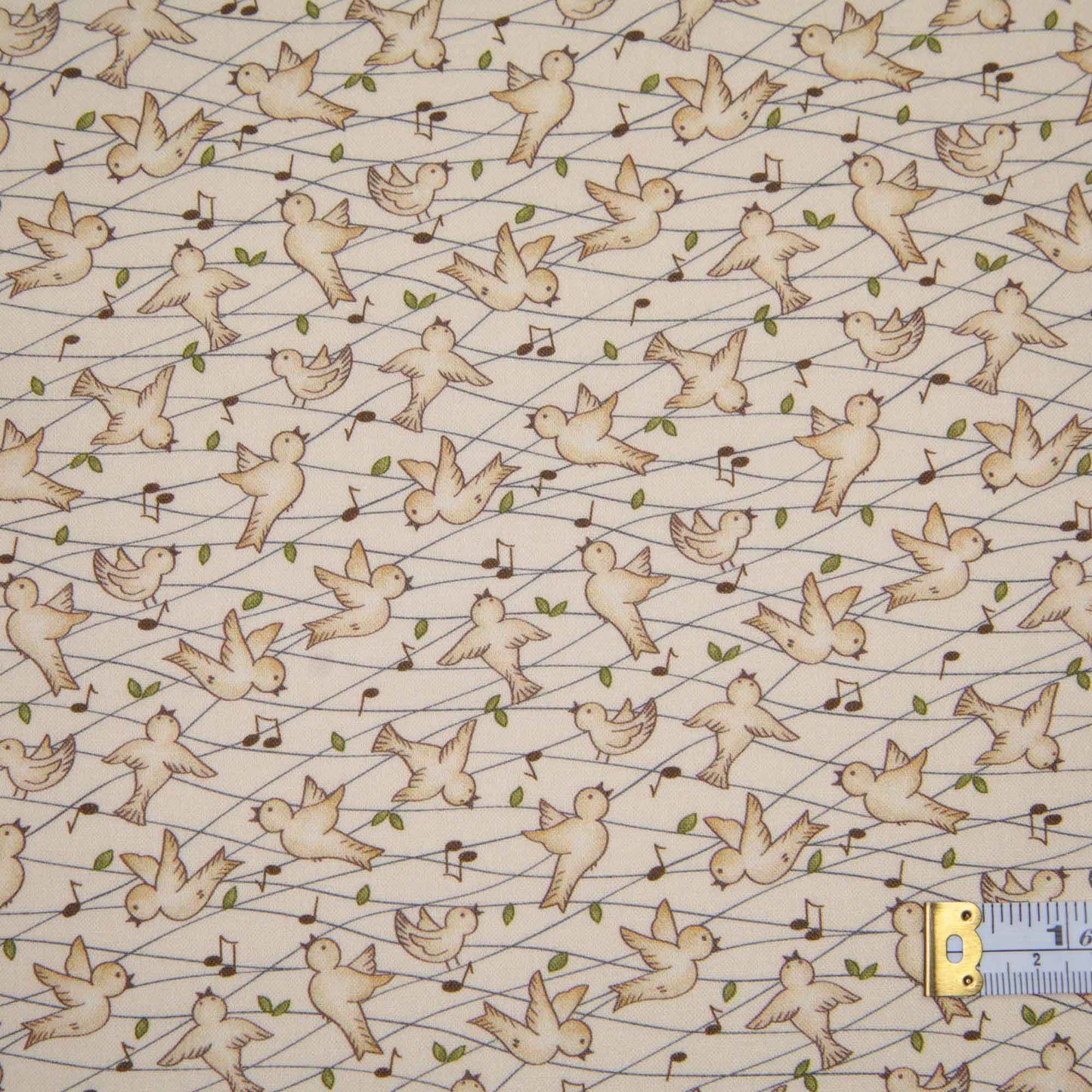 Nature's Choir - Every Birdie Tweet