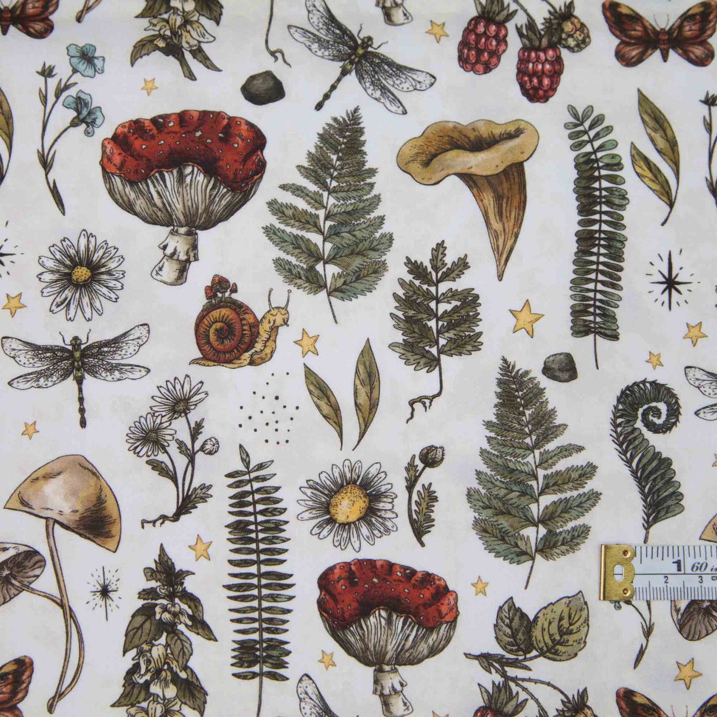 The Sun, the Moon and the Stars! - Mushrooms