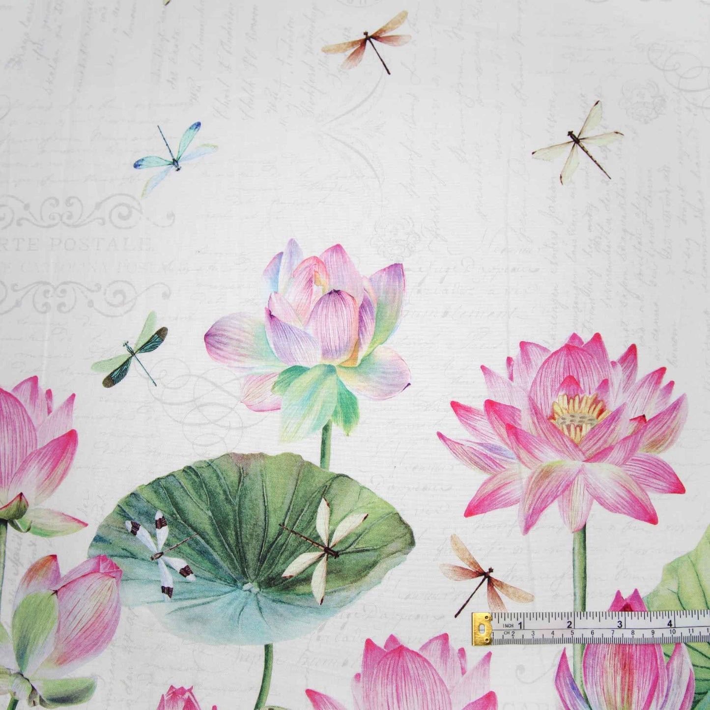 Water Lillies - Border Print