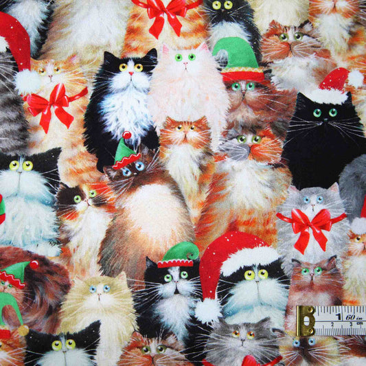 Meowy Christmas