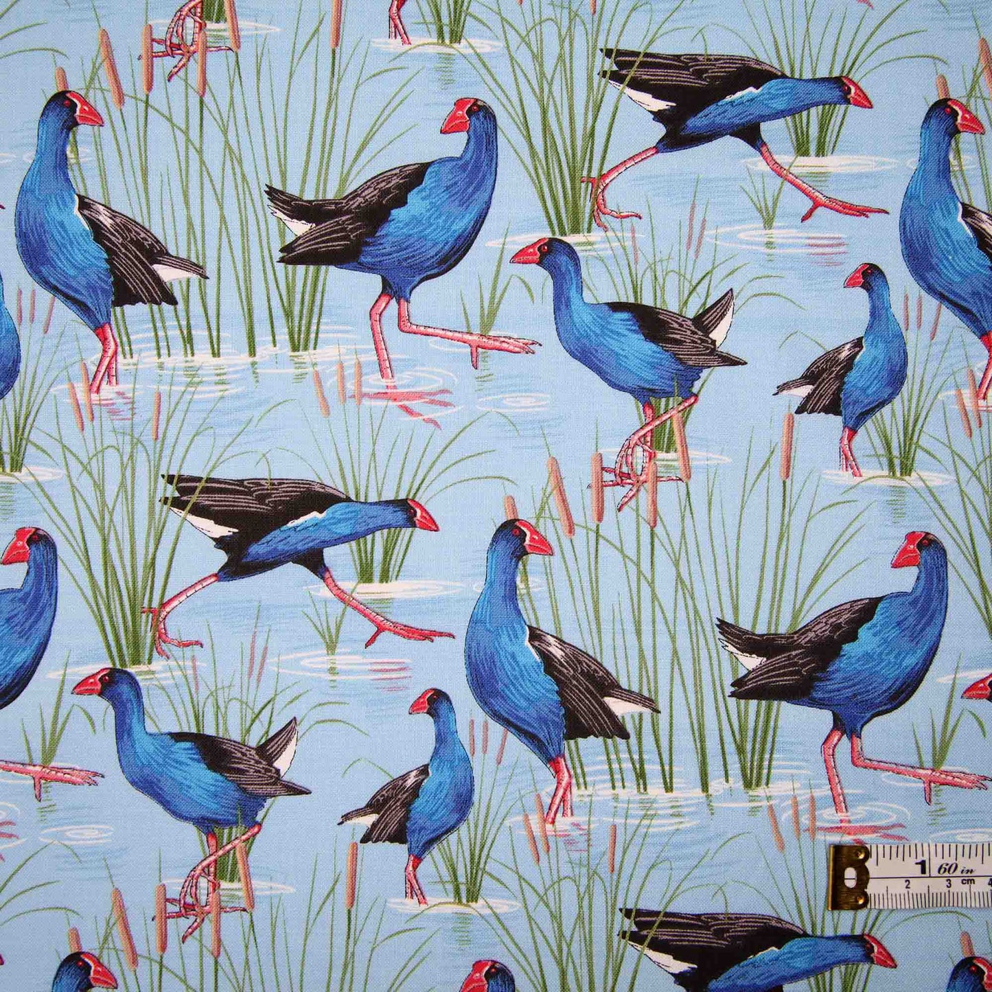 Native Treasures - Pukeko