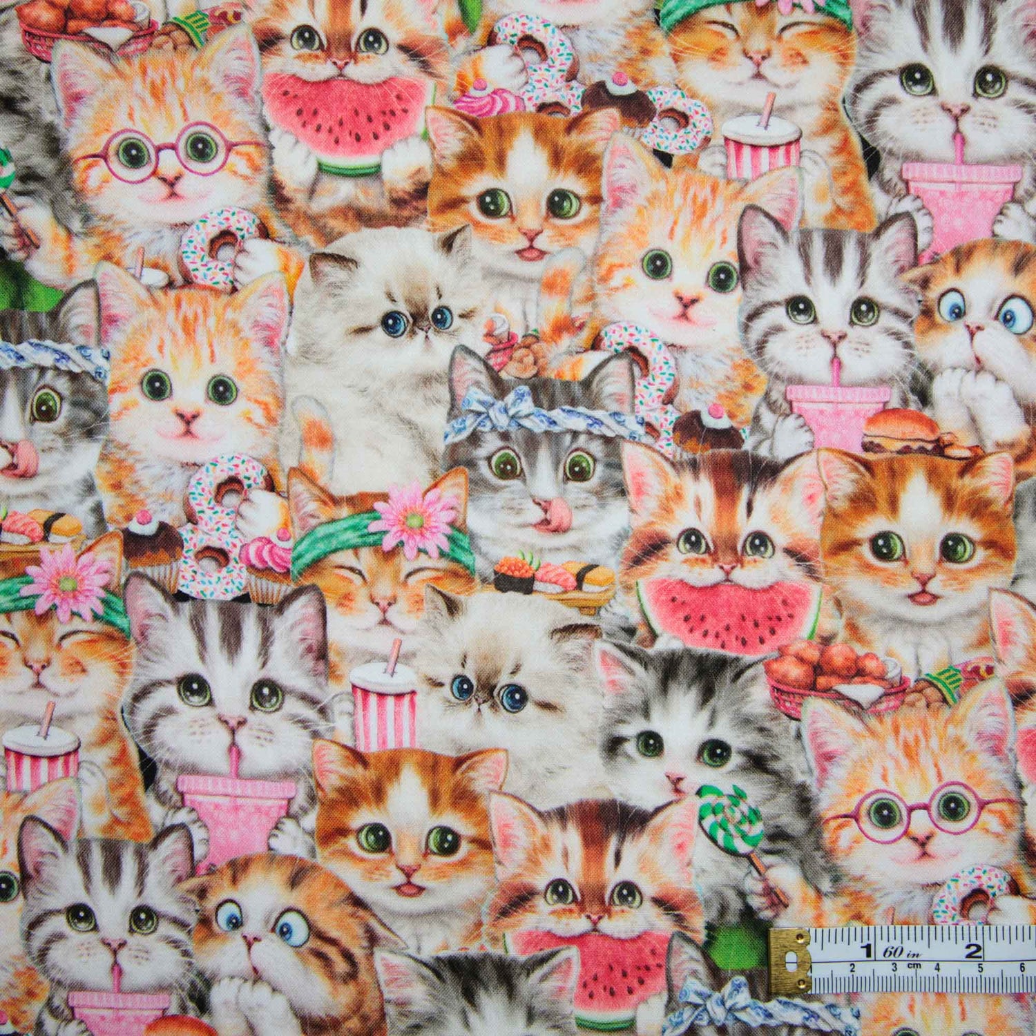 Instagram Famous Cats
