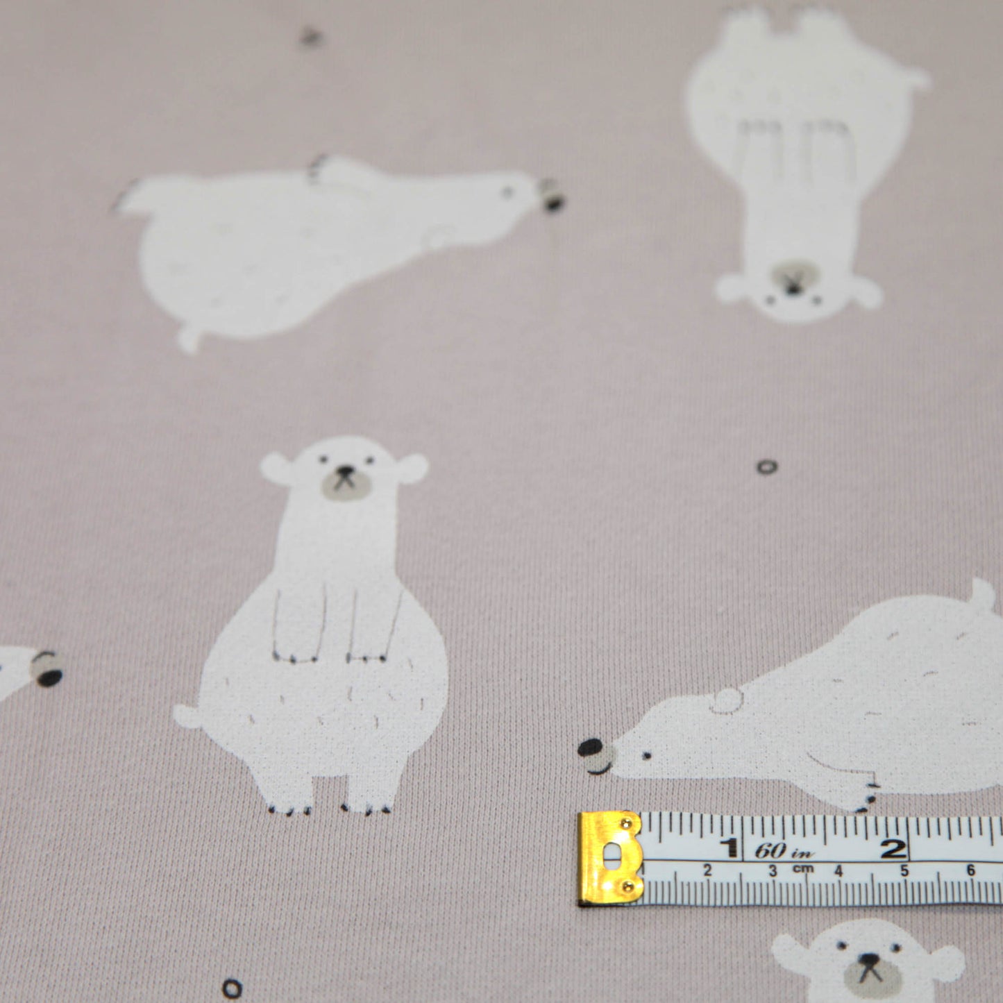 Polar Bear Sweatshirting