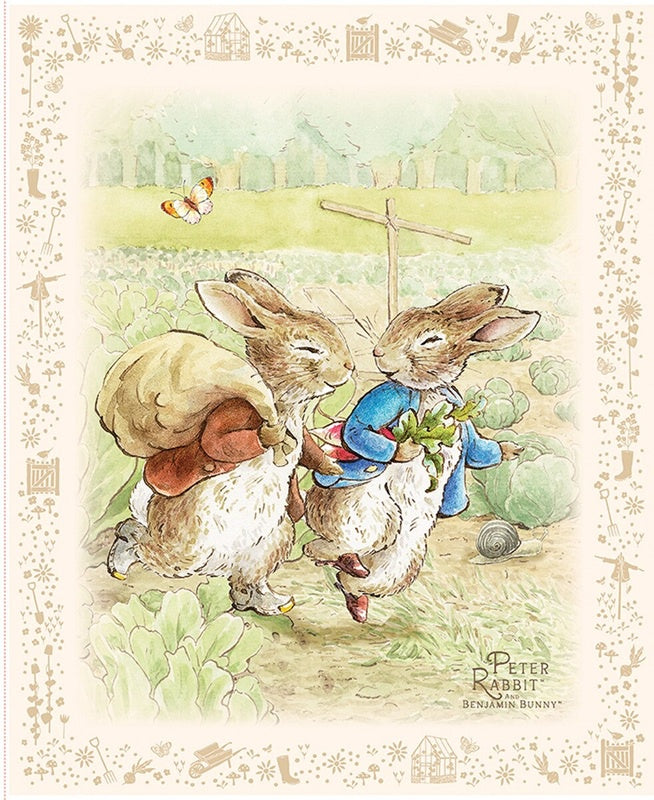 Peter Rabbit & Benjamin Bunny
