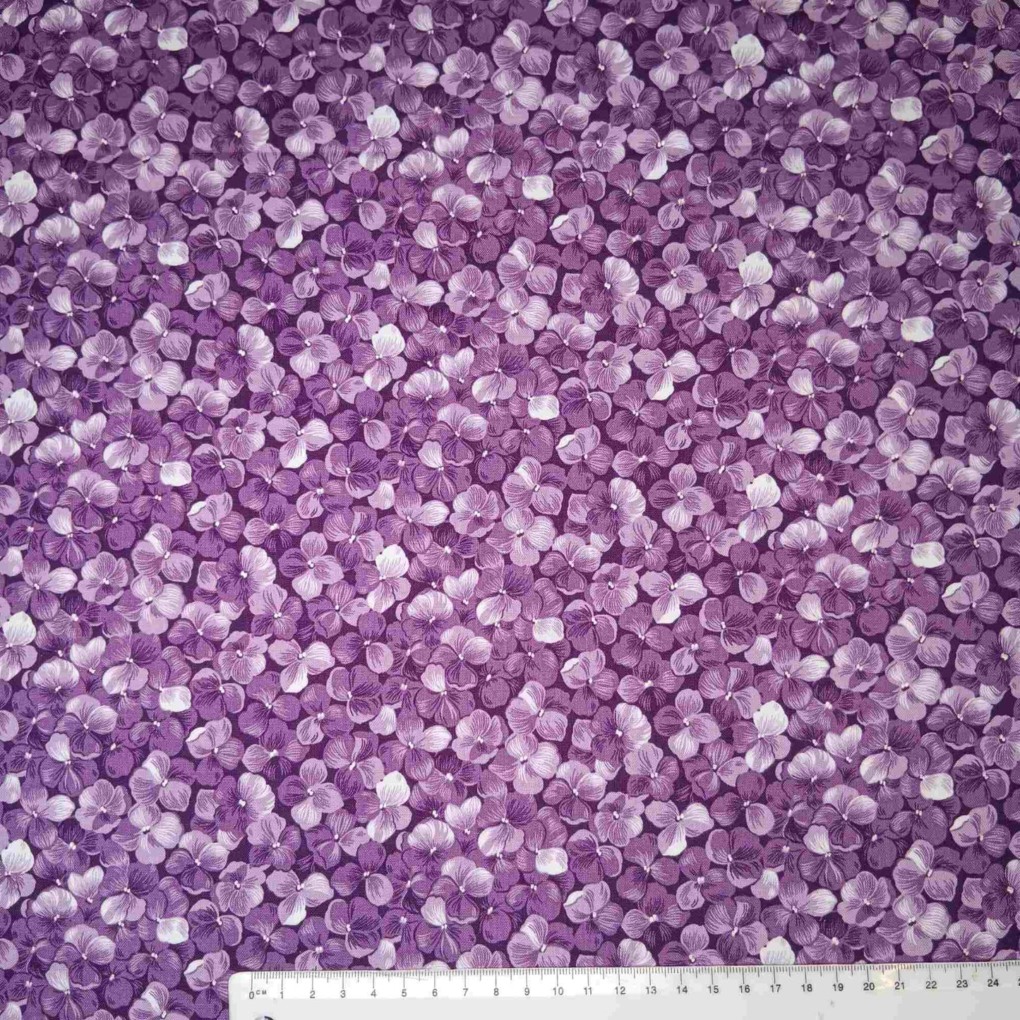 Hydrangeas - Petals