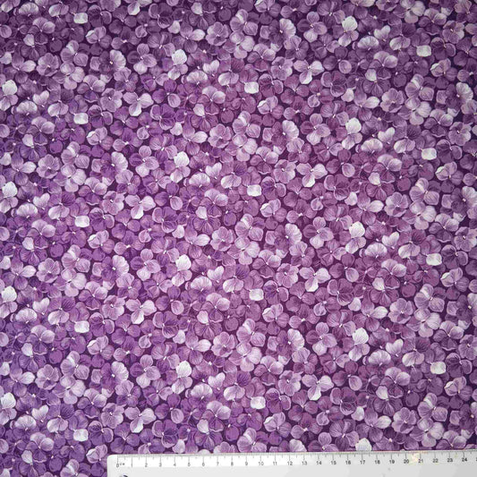 Hydrangeas - Petals