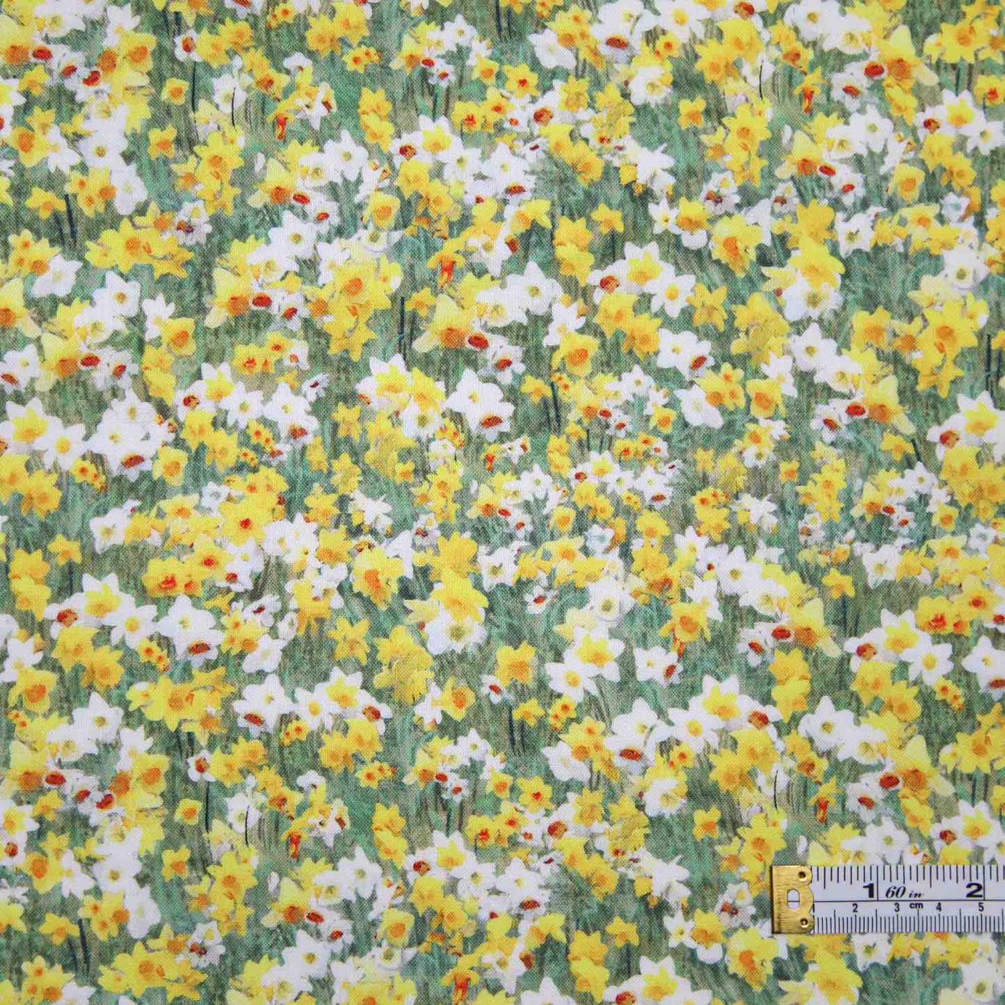 Fields of Faith - Daffodils