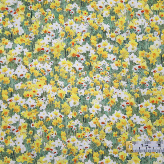 Fields of Faith - Daffodils