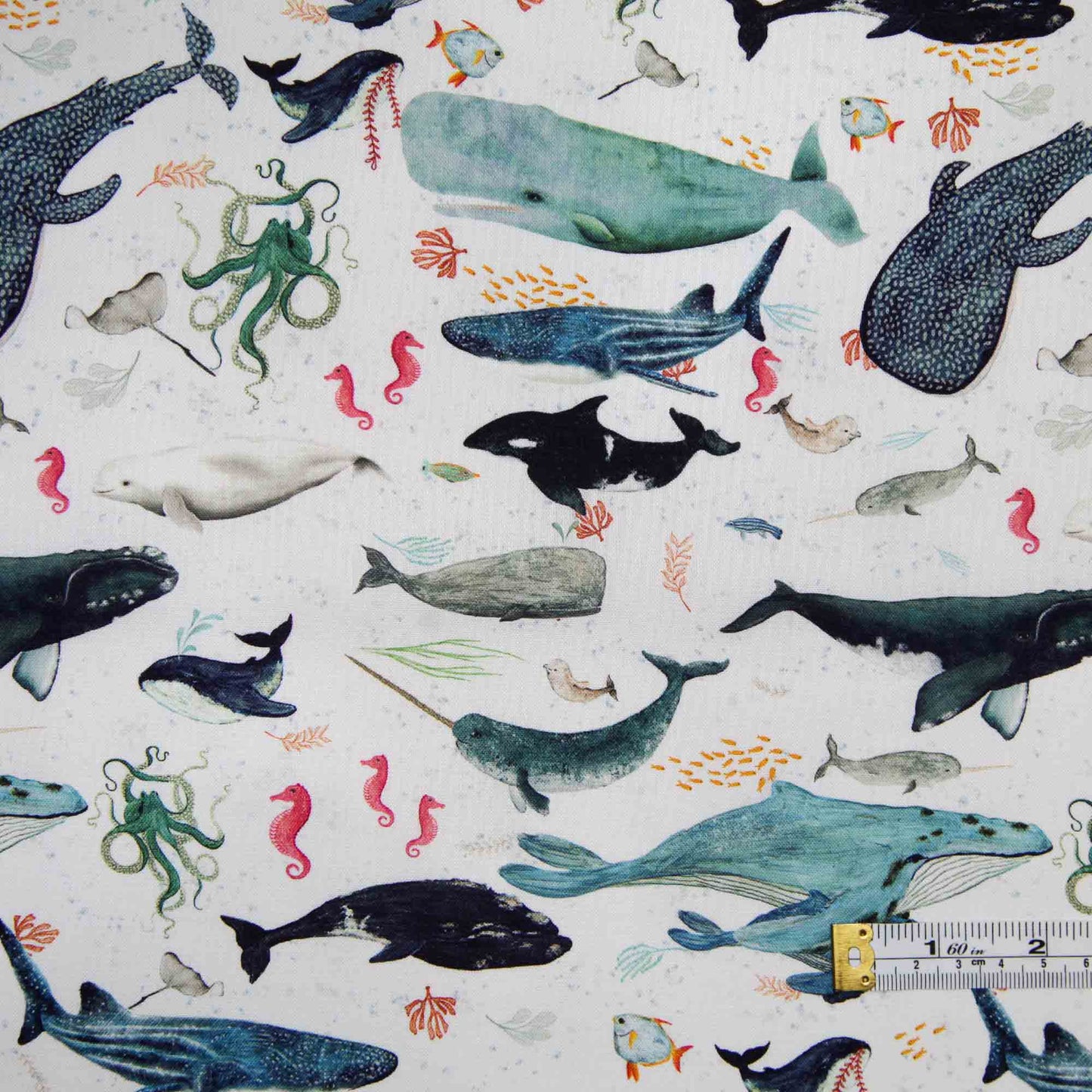 Deep Blue - Whales