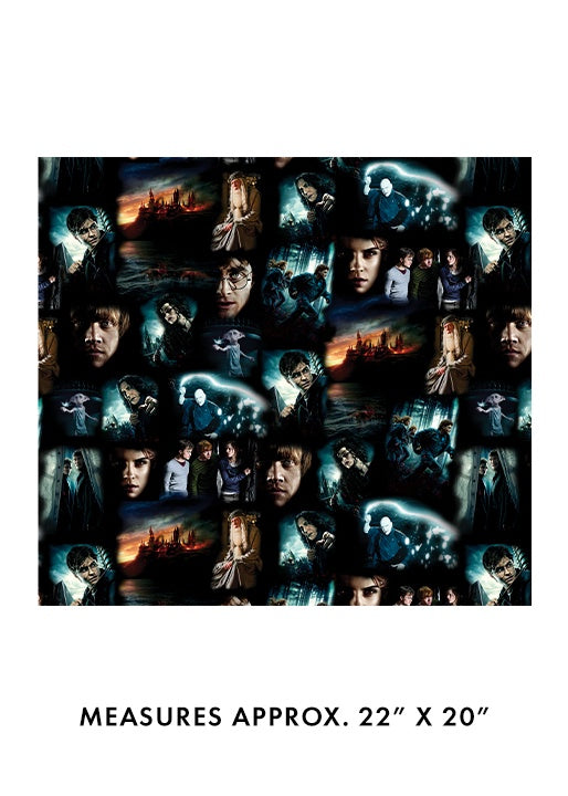 Harry Potter - Moments Black