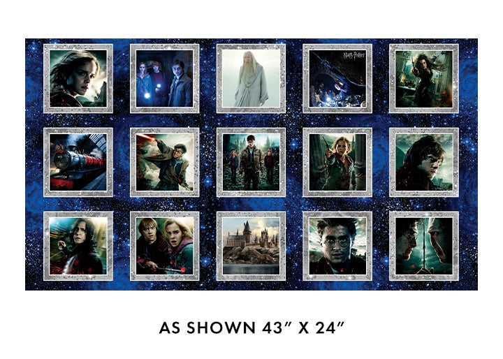 Harry Potter - Wizarding Boxes Panel