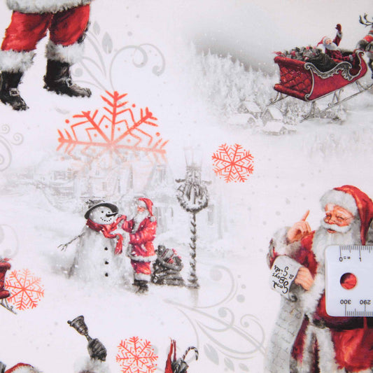 Picture a Christmas - Santa White