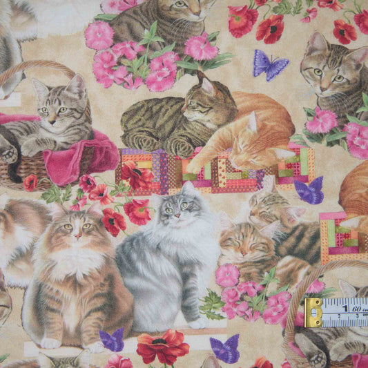 Cats N Quilts
