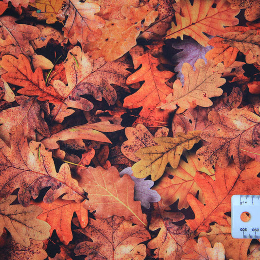 Imaginings Autumn - Design #20911