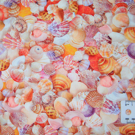 Imaginings Shells - Design #20918