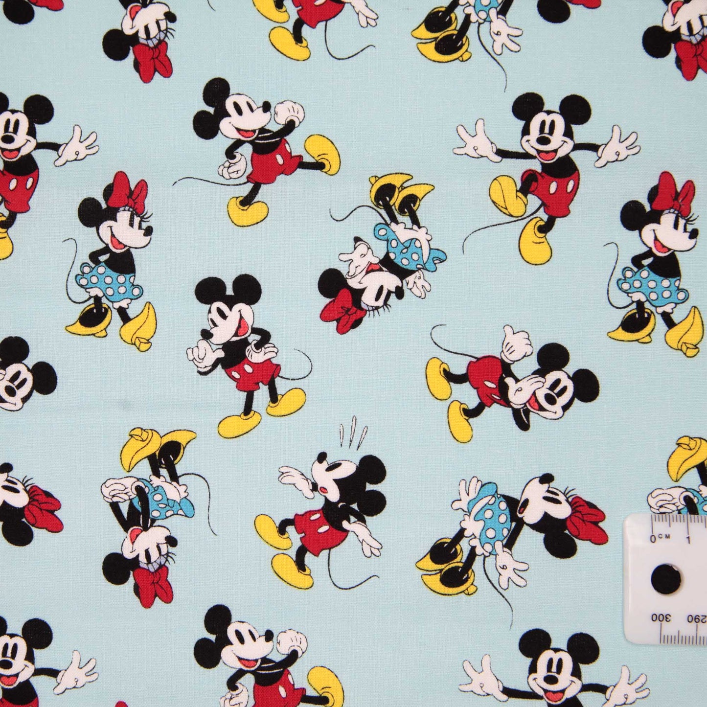 Mickey and Friends - Mickey & Minnie