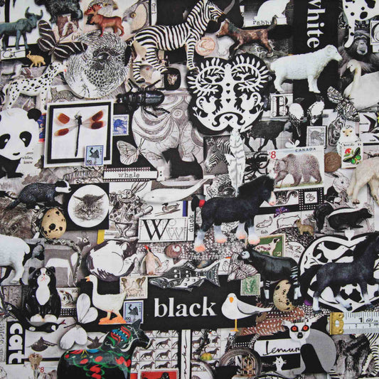 Color Collage - Black & White