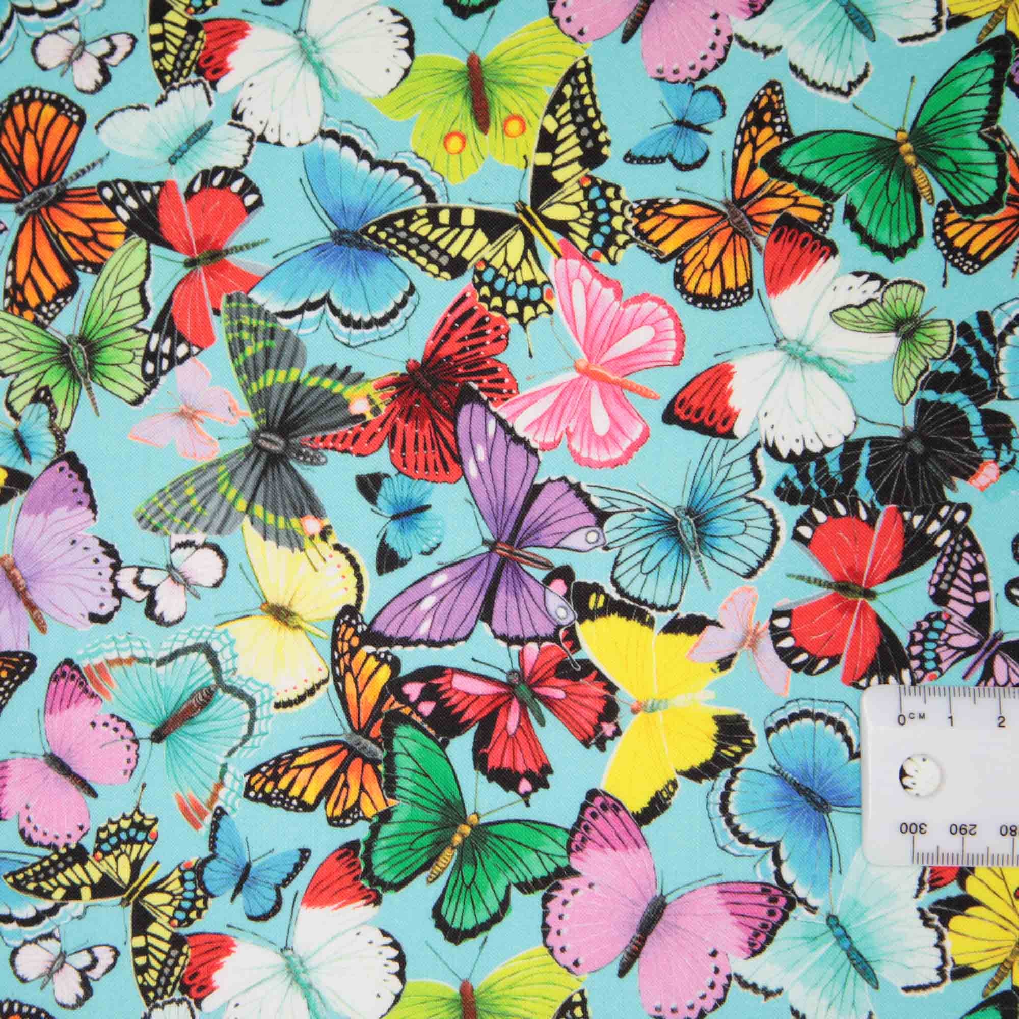 Spring's Wings – Curtis Fabrics